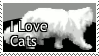 kitties