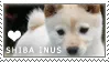 shibas