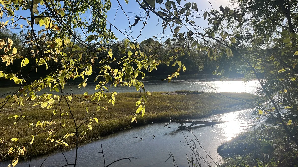 61C5C5C9-E218-40ED-84F4-F7404FC73E01