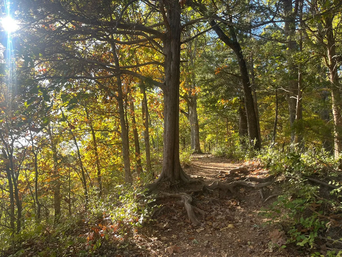 96970511-1bac-4d4b-8517-74c2a28a3baa