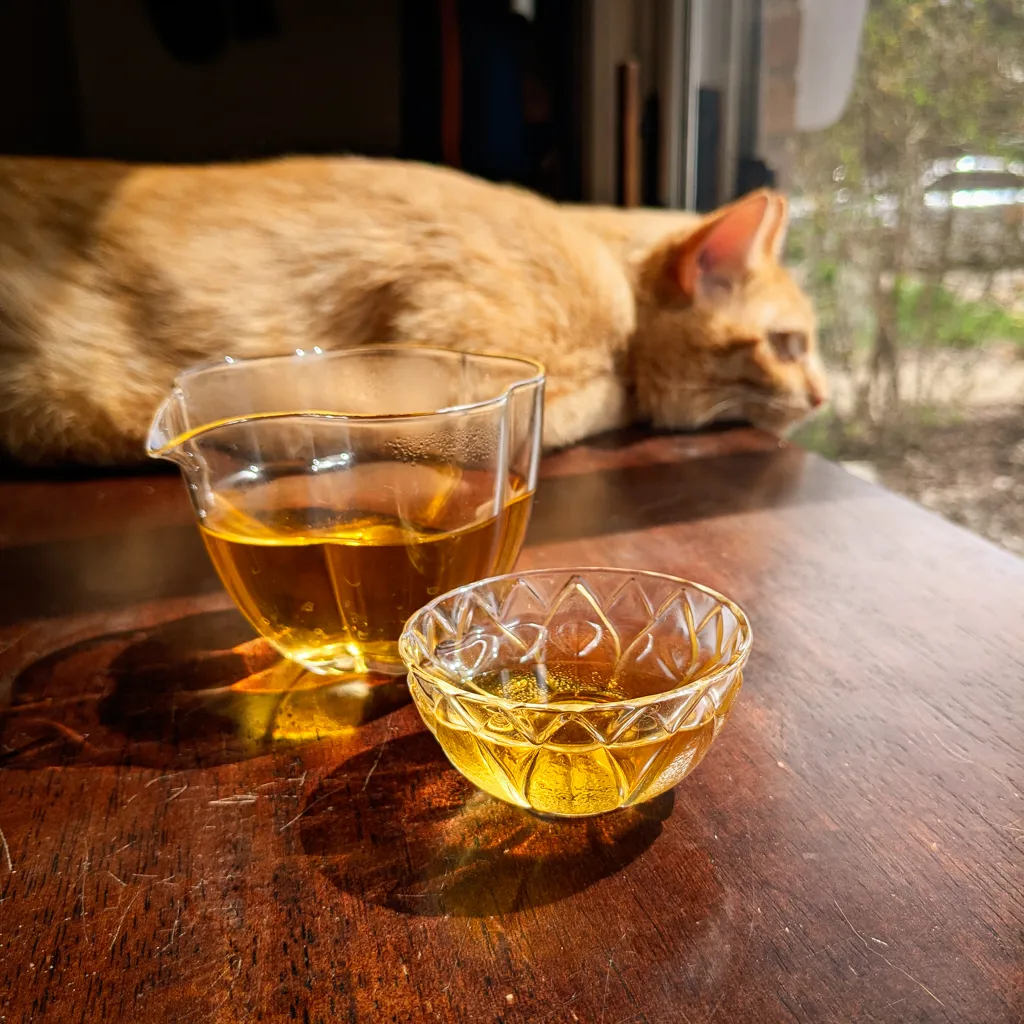 An orange cat lays on the table behind two flower-shaped glass tea cups filled with light tea.