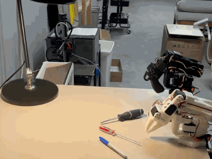 IMG_5896_clean_lamp_6fps_420x315