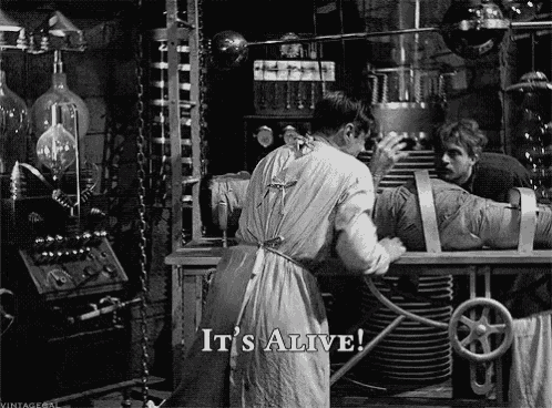gif from the 1931 film 'Frankenstein' showing Henry Frankenstein in front of a newly reanimated monster saying 'It's alive!'
