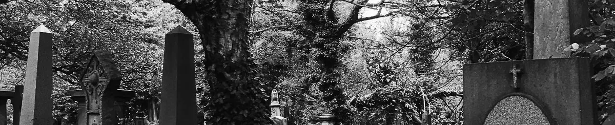 black and white eye level picture of an old overgrown cemetery