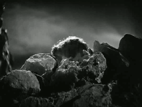 gif from the 1935 film 'Werewolf of London' showing a transformed werewolf peeking out from behind a mound of rocks