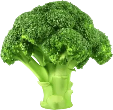 broccoli-small