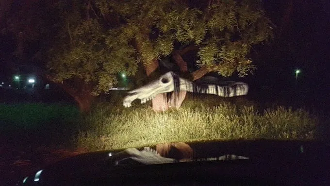LongHorse4