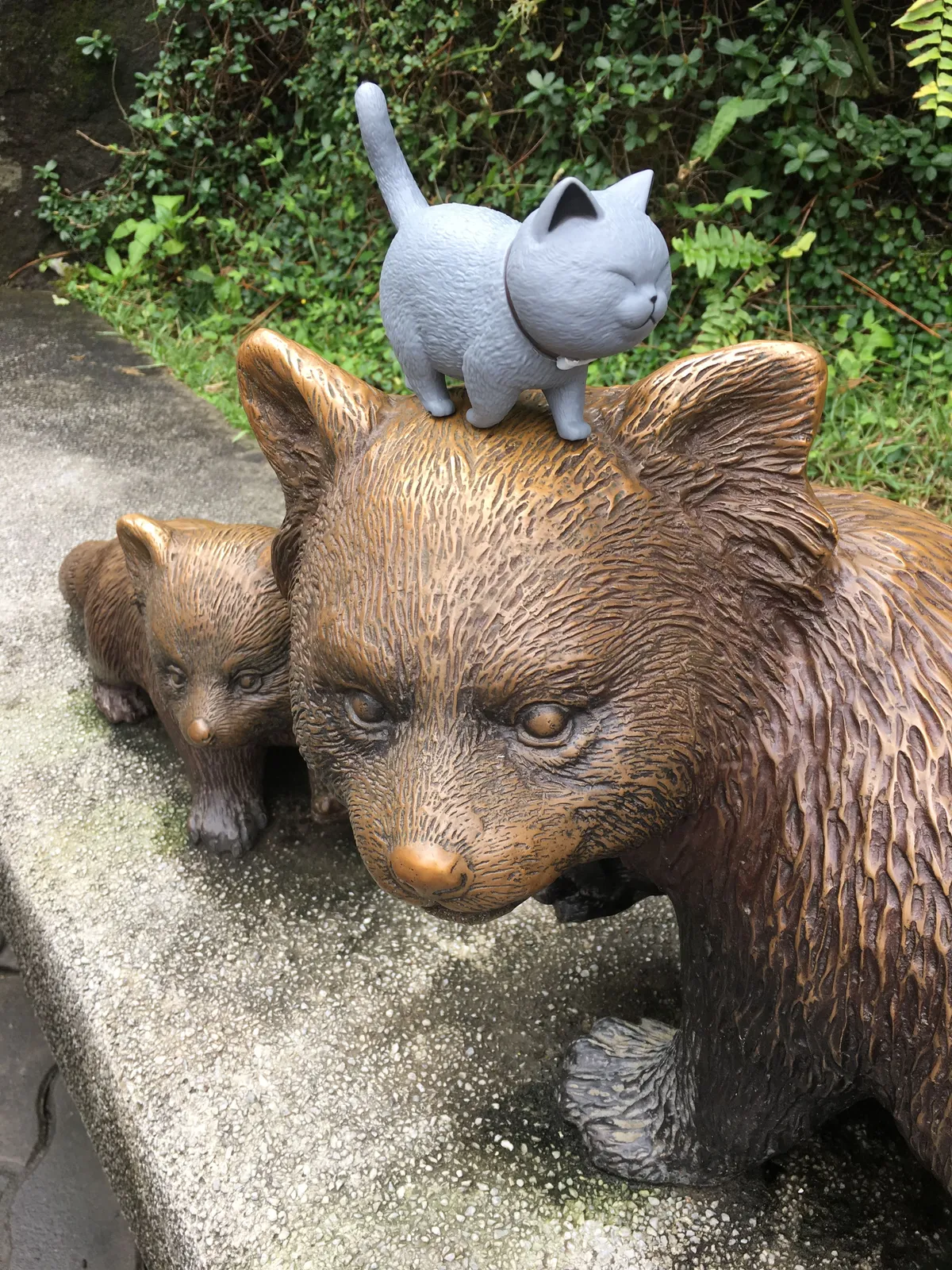 Tubs at the zoo, 2019