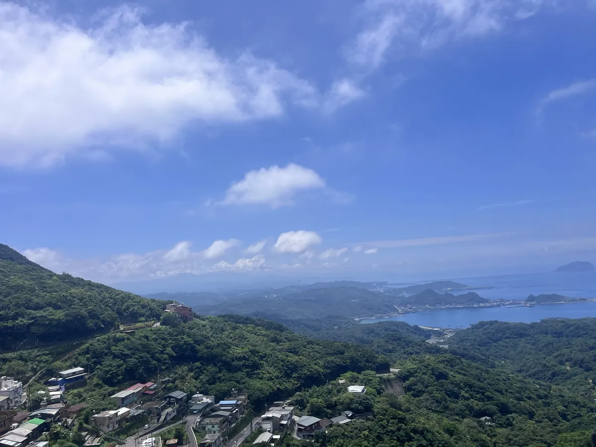 the view
