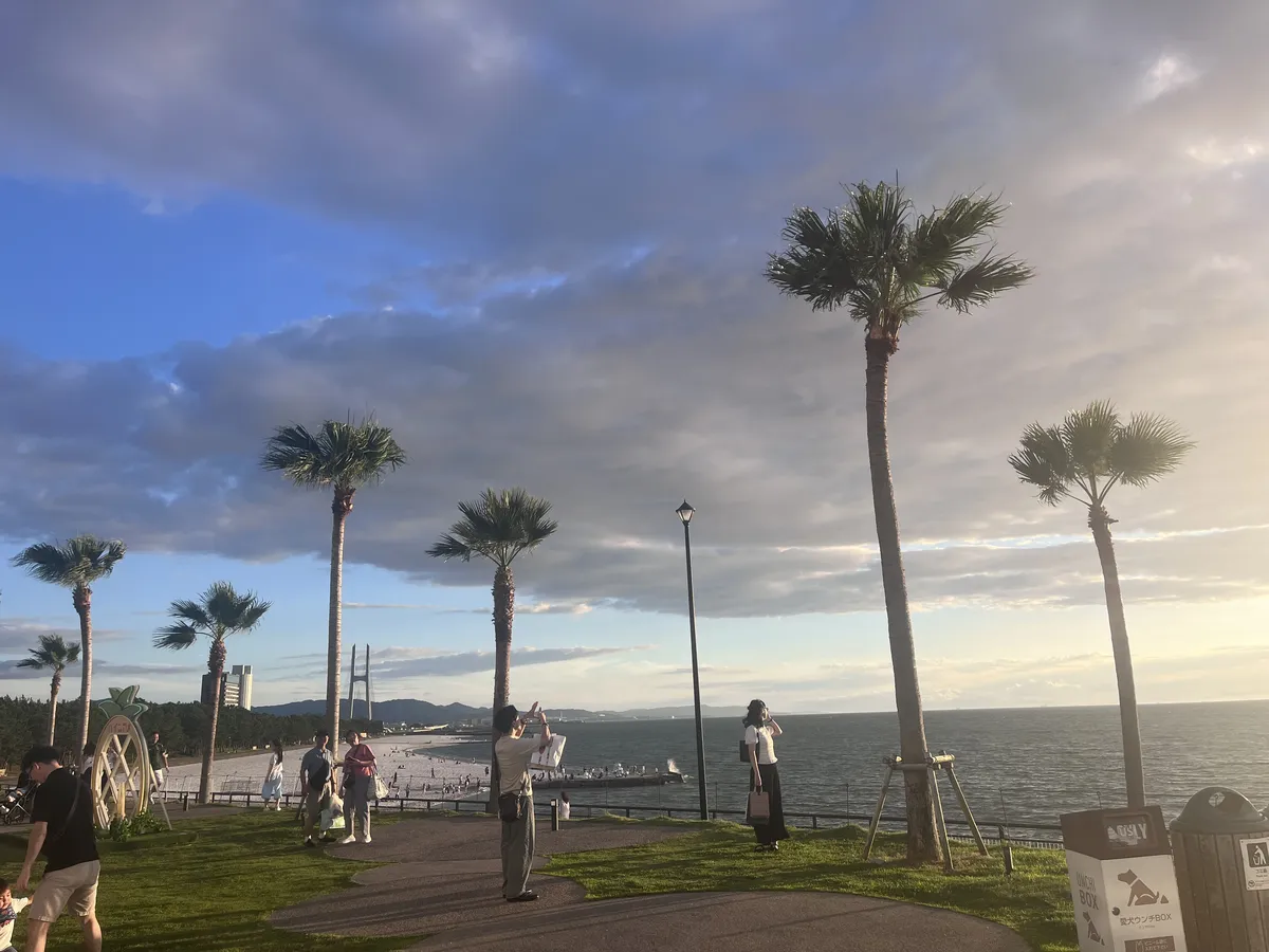 View from the beach at sunset