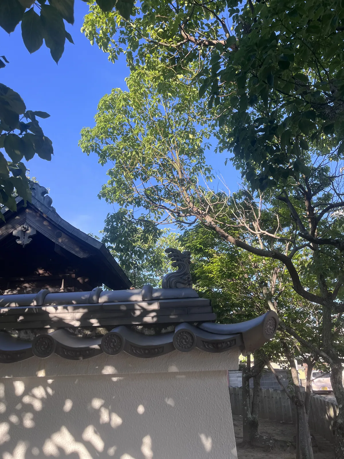 close up on the roof