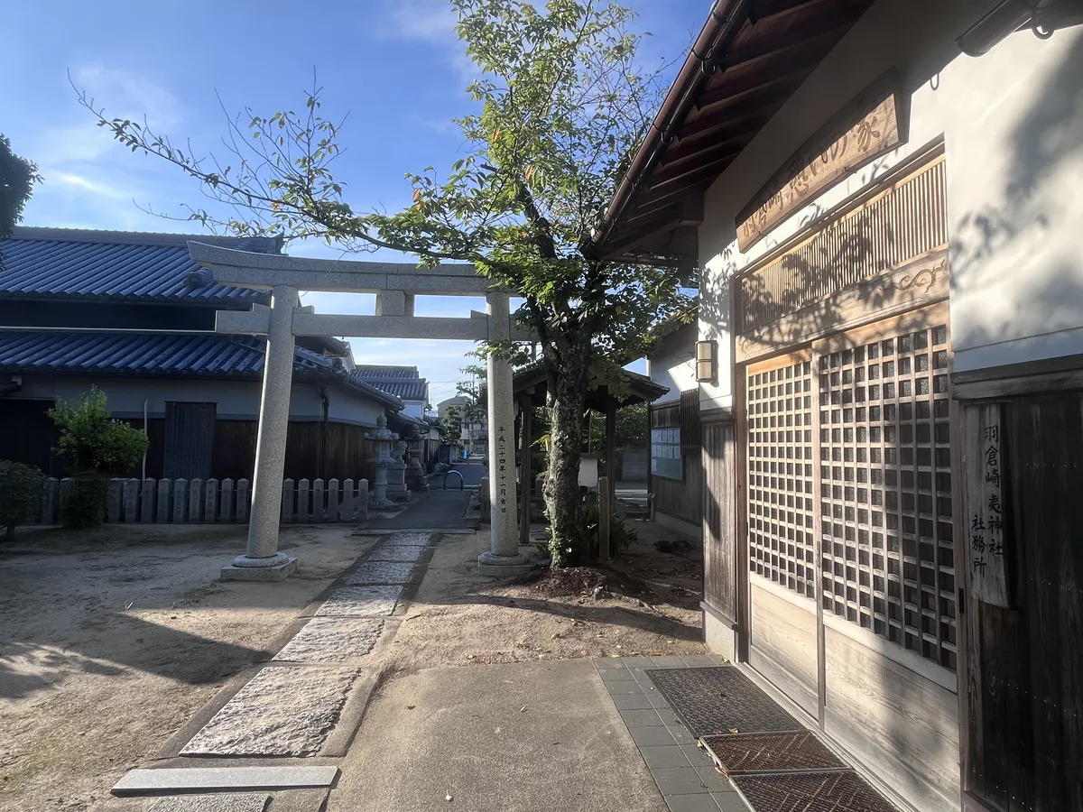 view from behind the gate