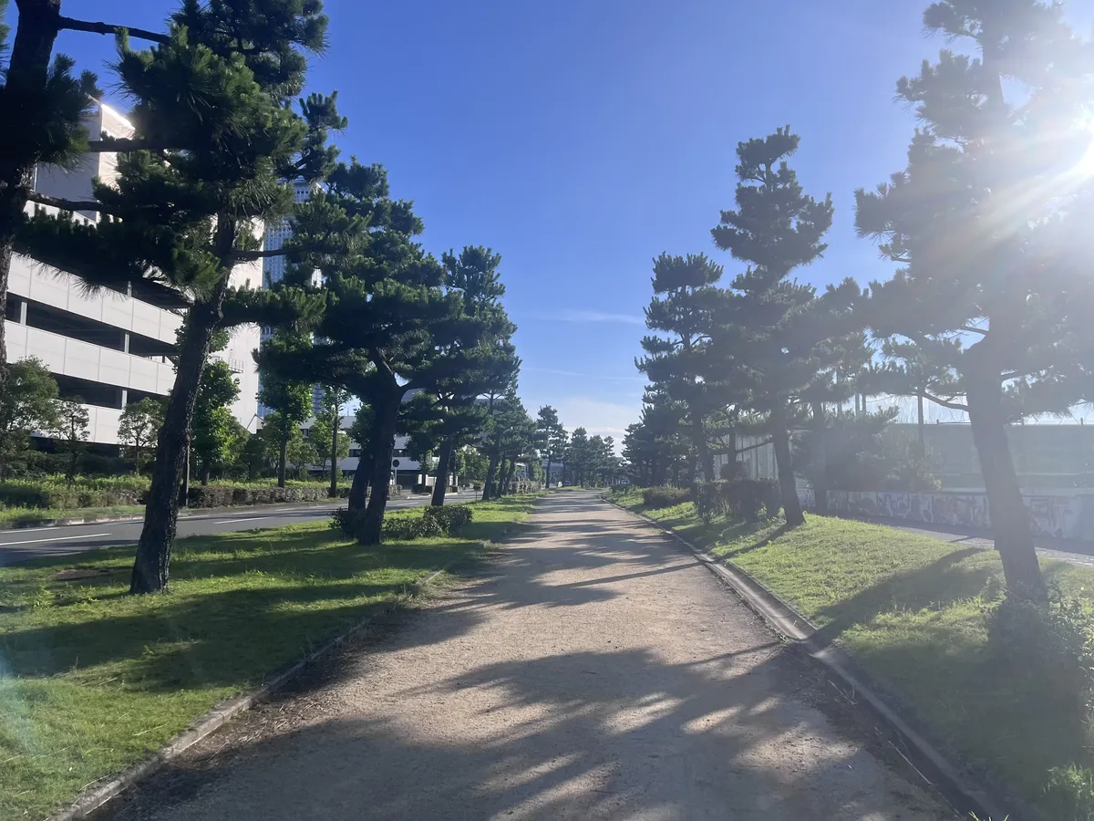 the path back