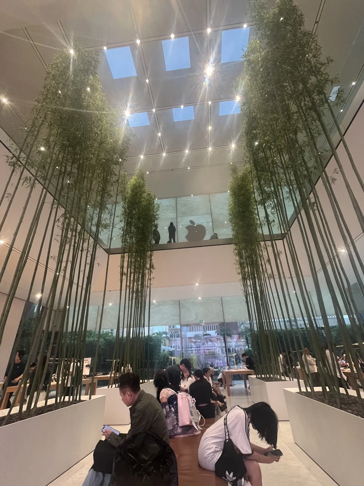 The Apple store. I spent way too long here waiting for my grandma