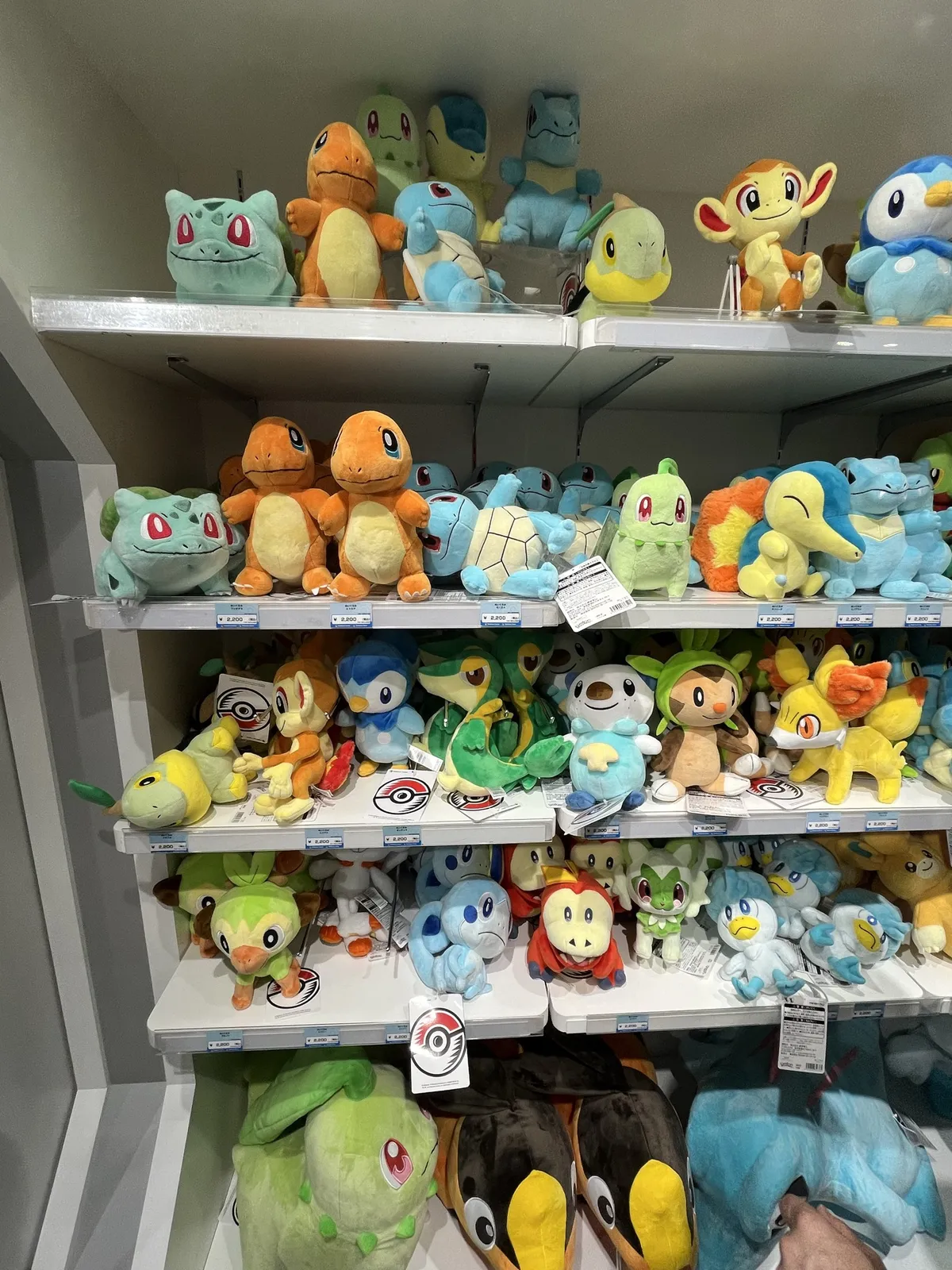 the Starter shelf