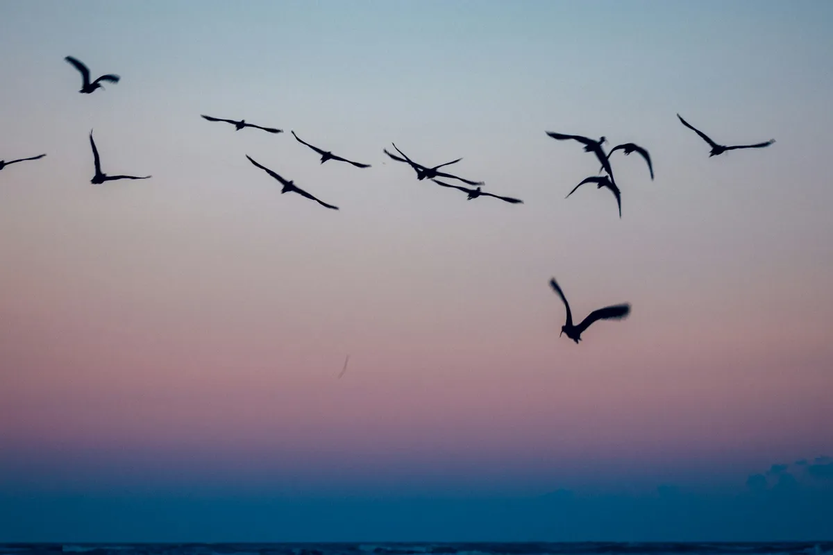 th-mdz_-9YTRz3X1k18-unsplash