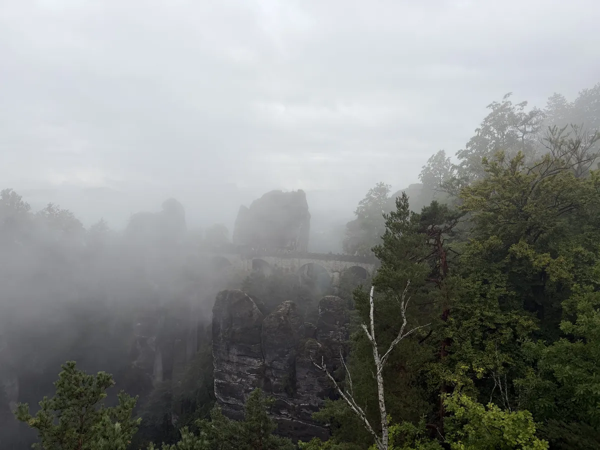 IMG_7490