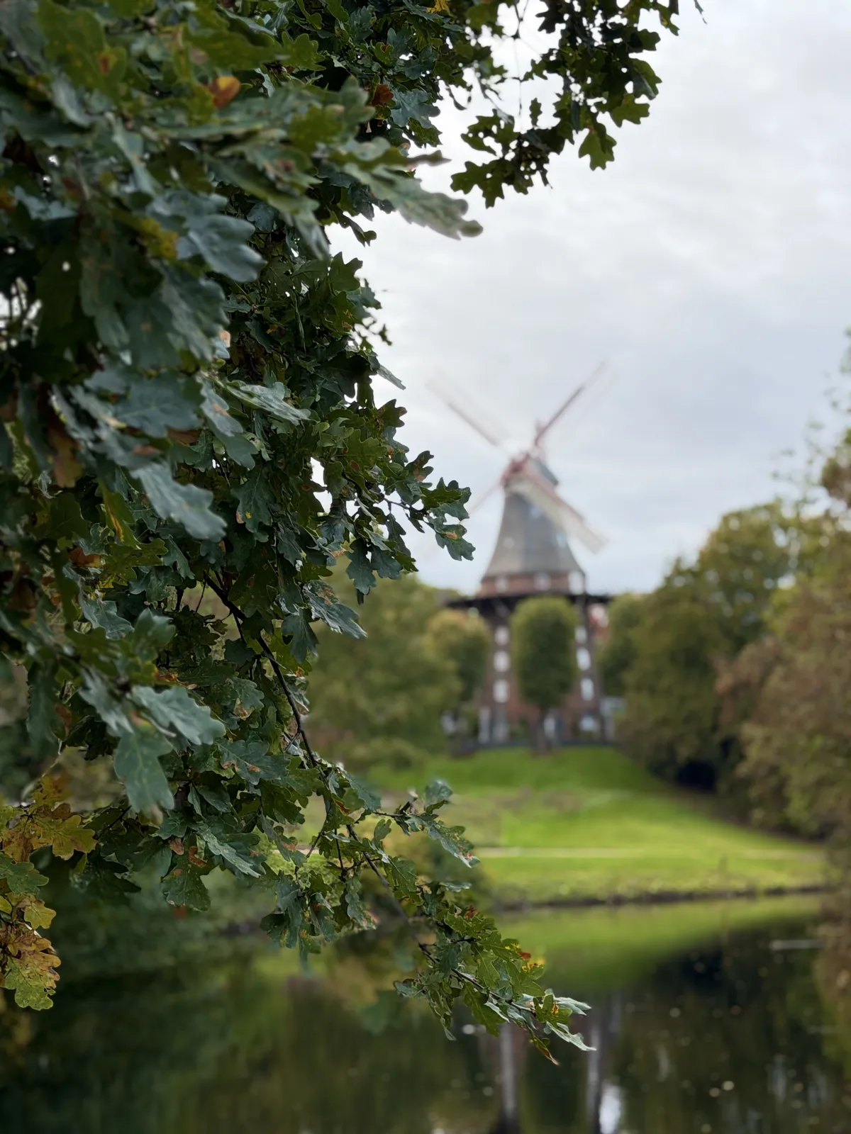 IMG_7969
