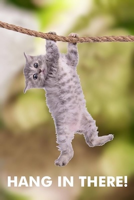 hanginthere