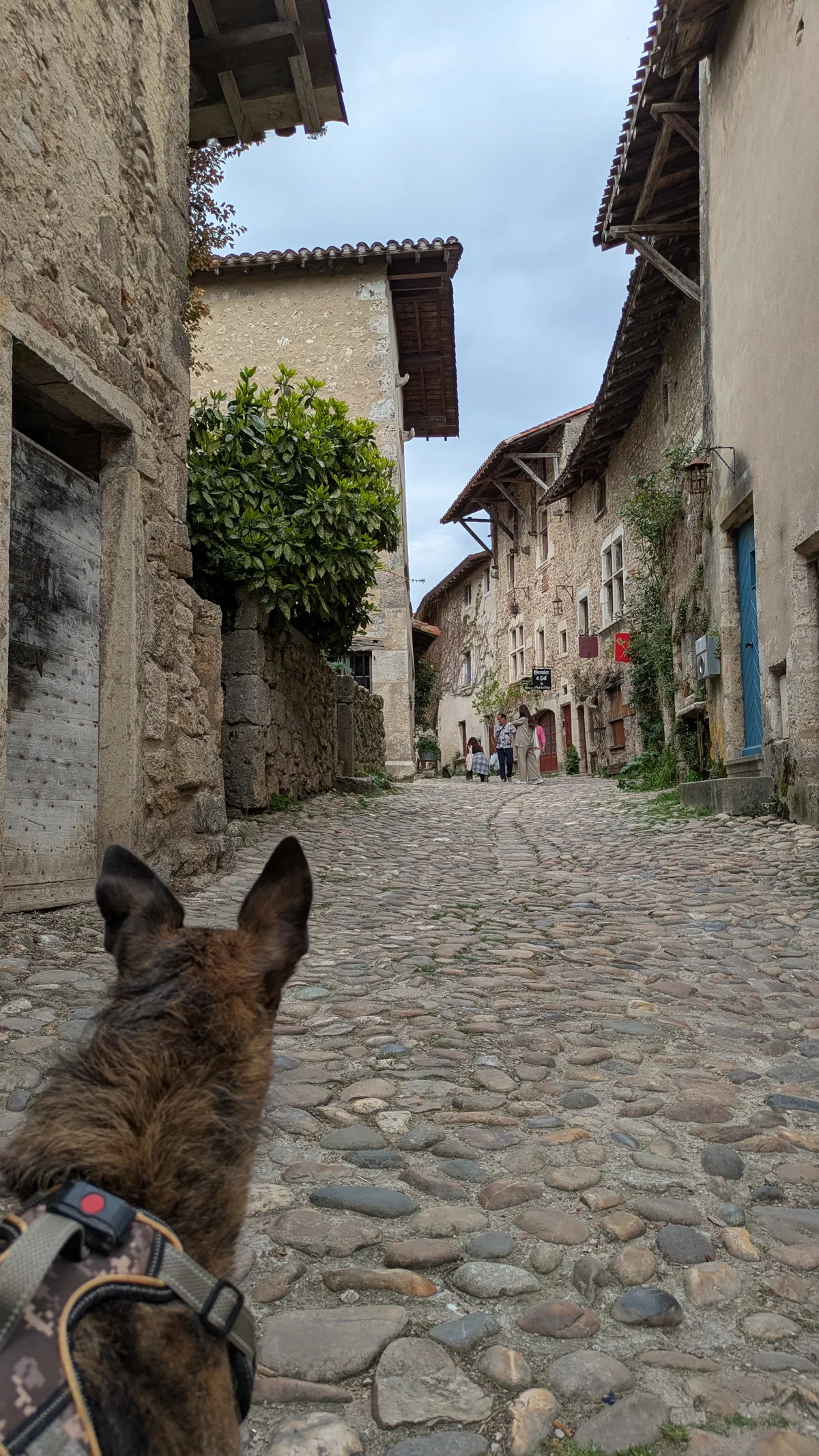 PXL_20260411_111719719