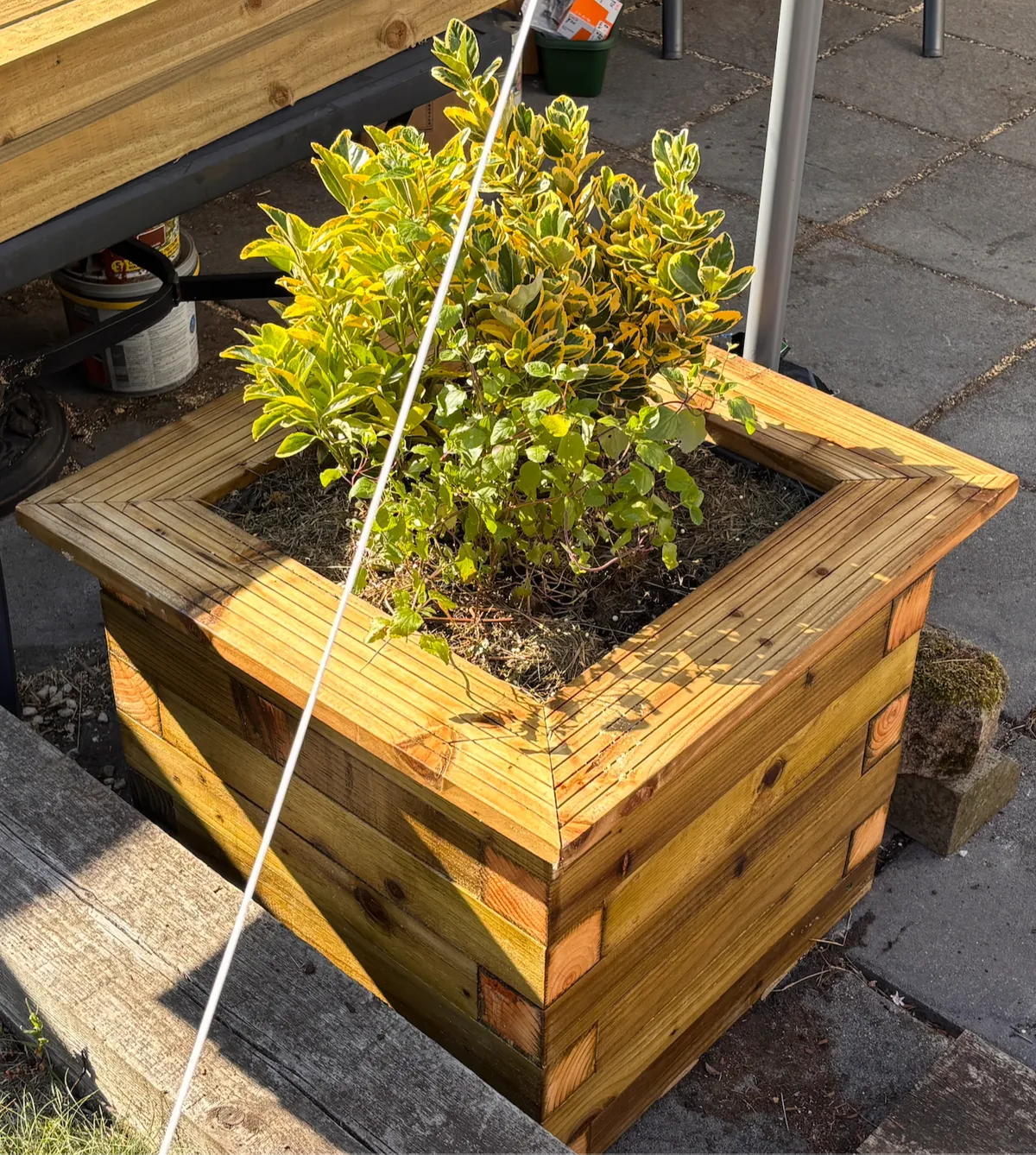 planter2