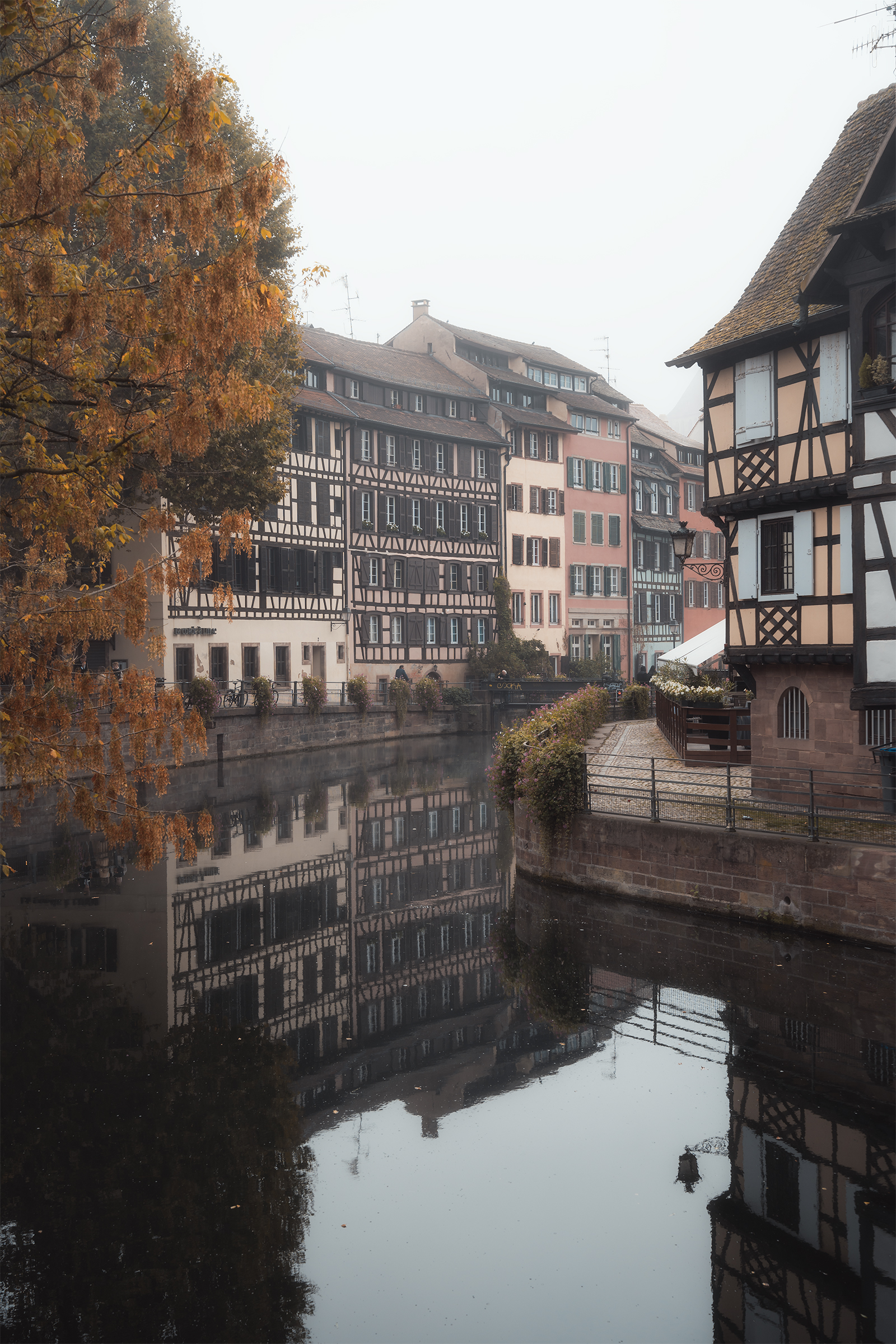 Alsace