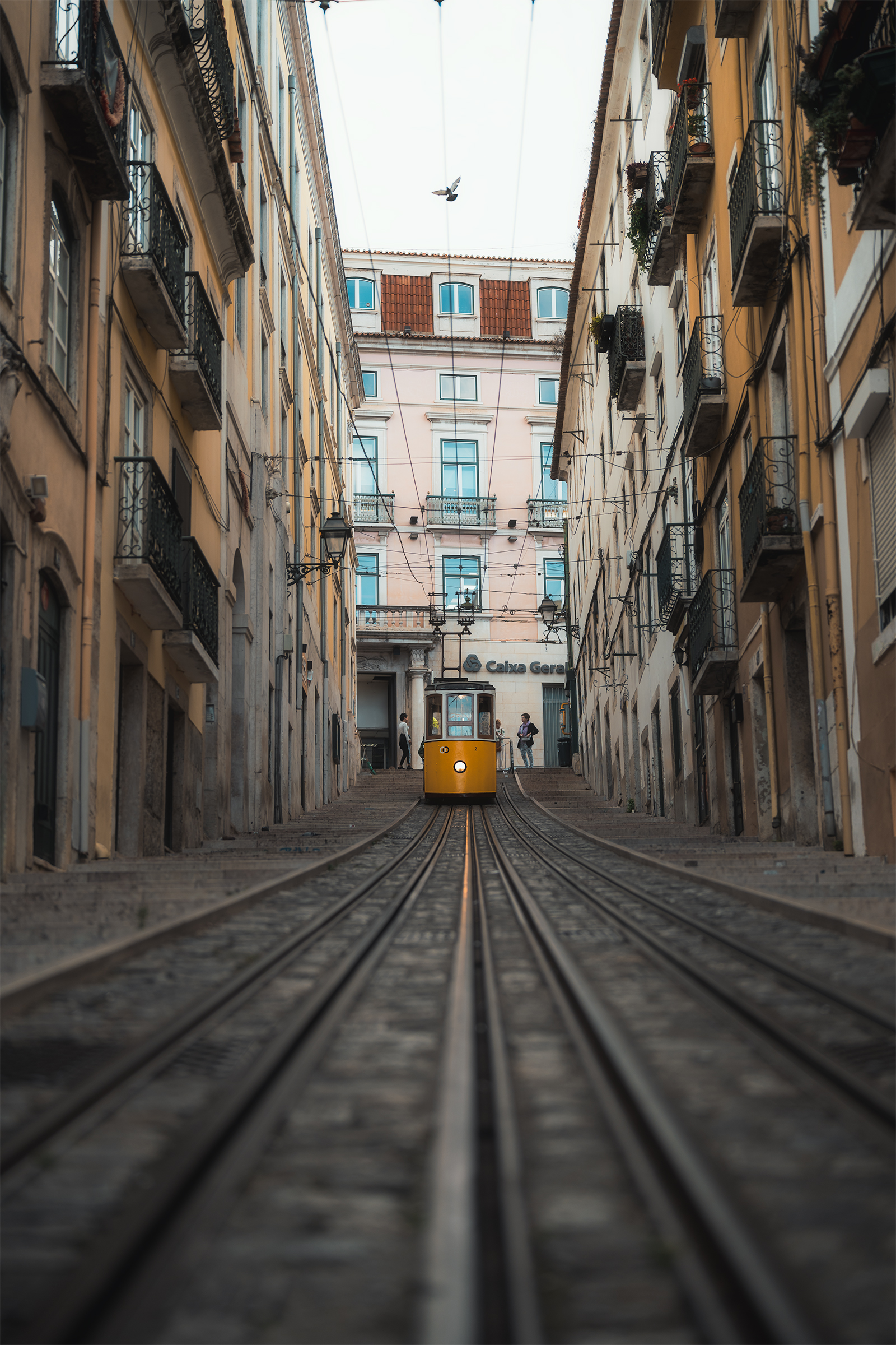 Lisbon Portrait 8