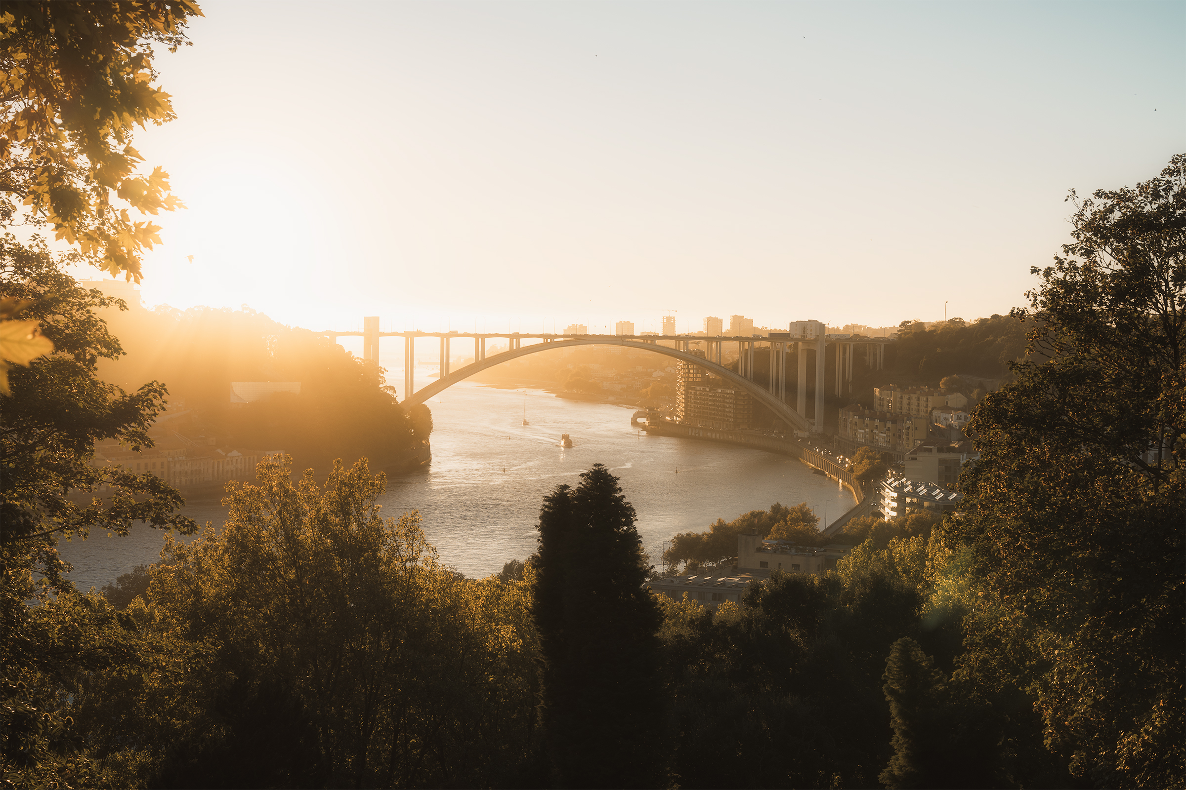 Porto Landscape 1