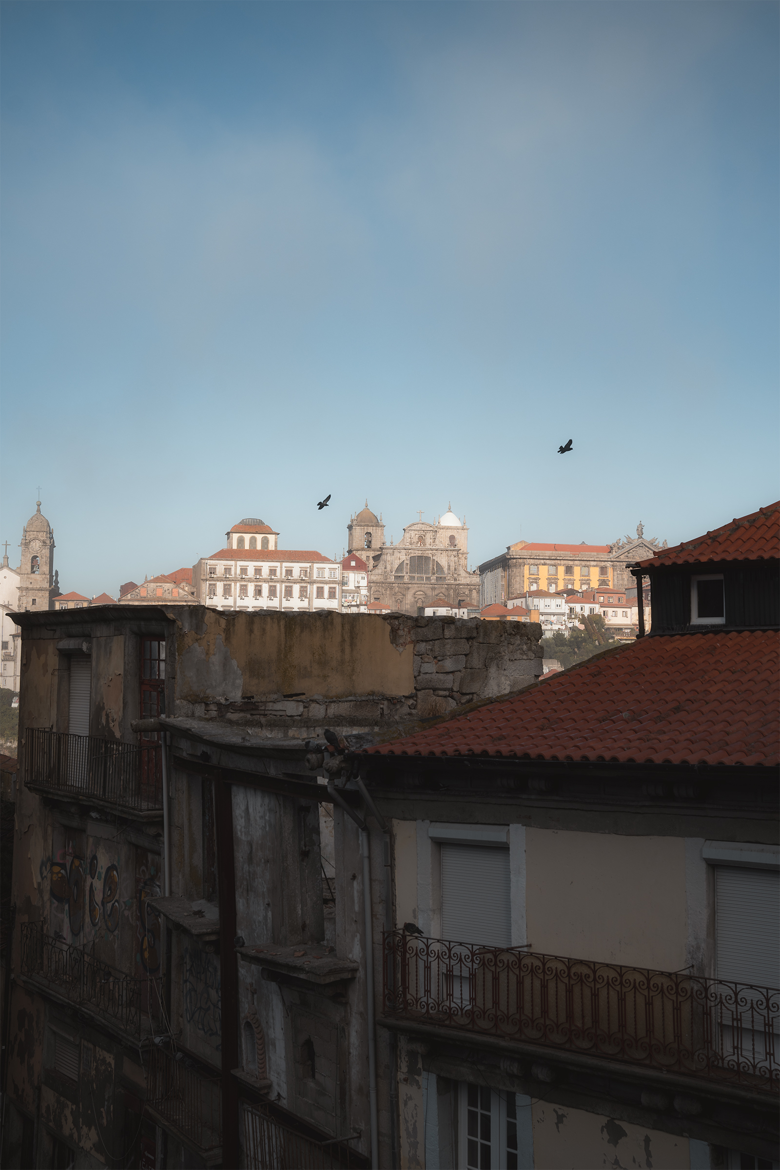 Porto Portrait 11