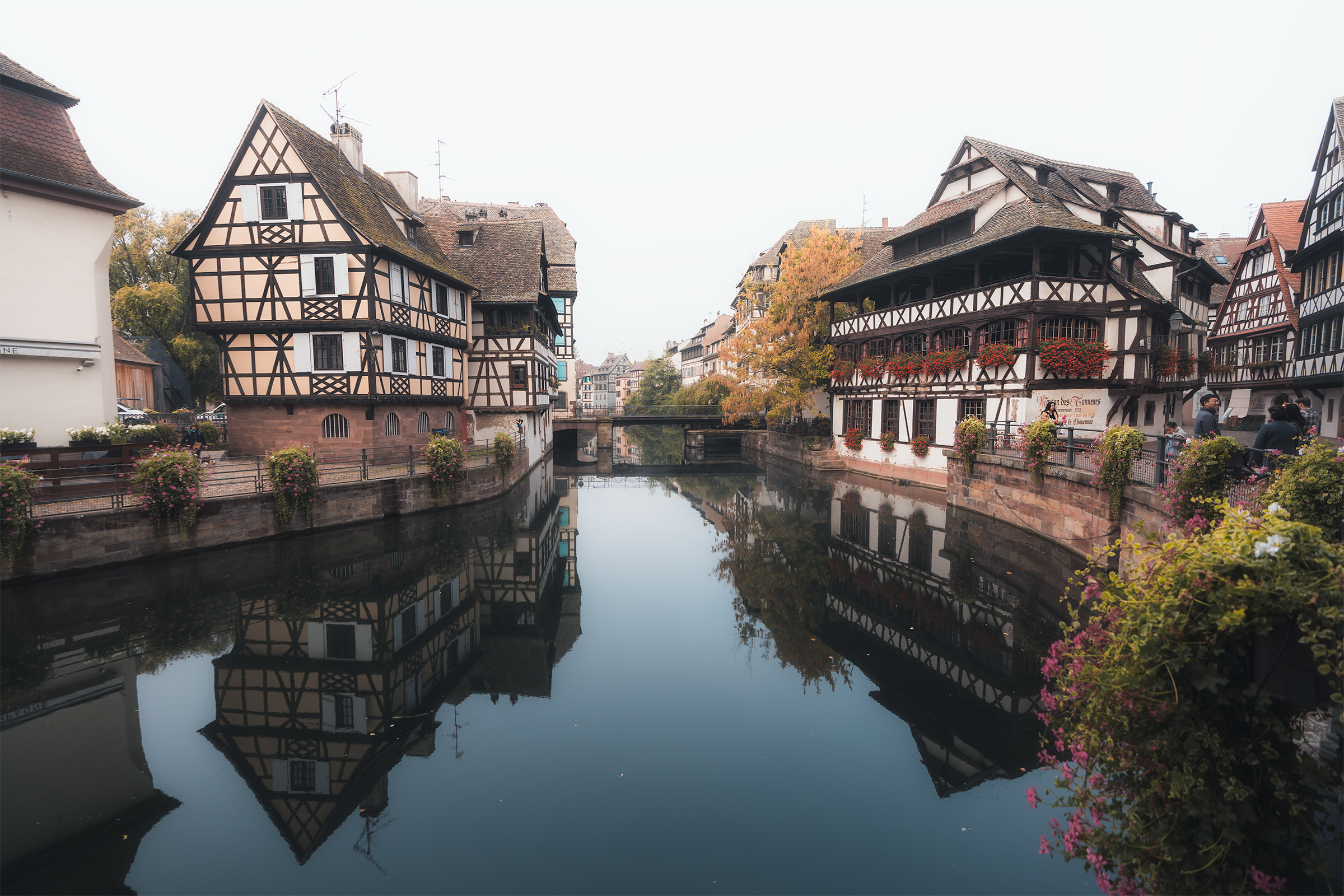 Alsace Strasbourg Sunrise 5