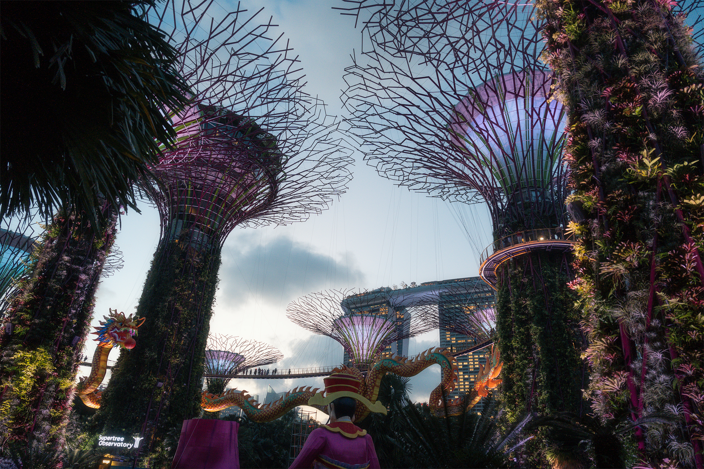 Singapore Supertree Garden 2