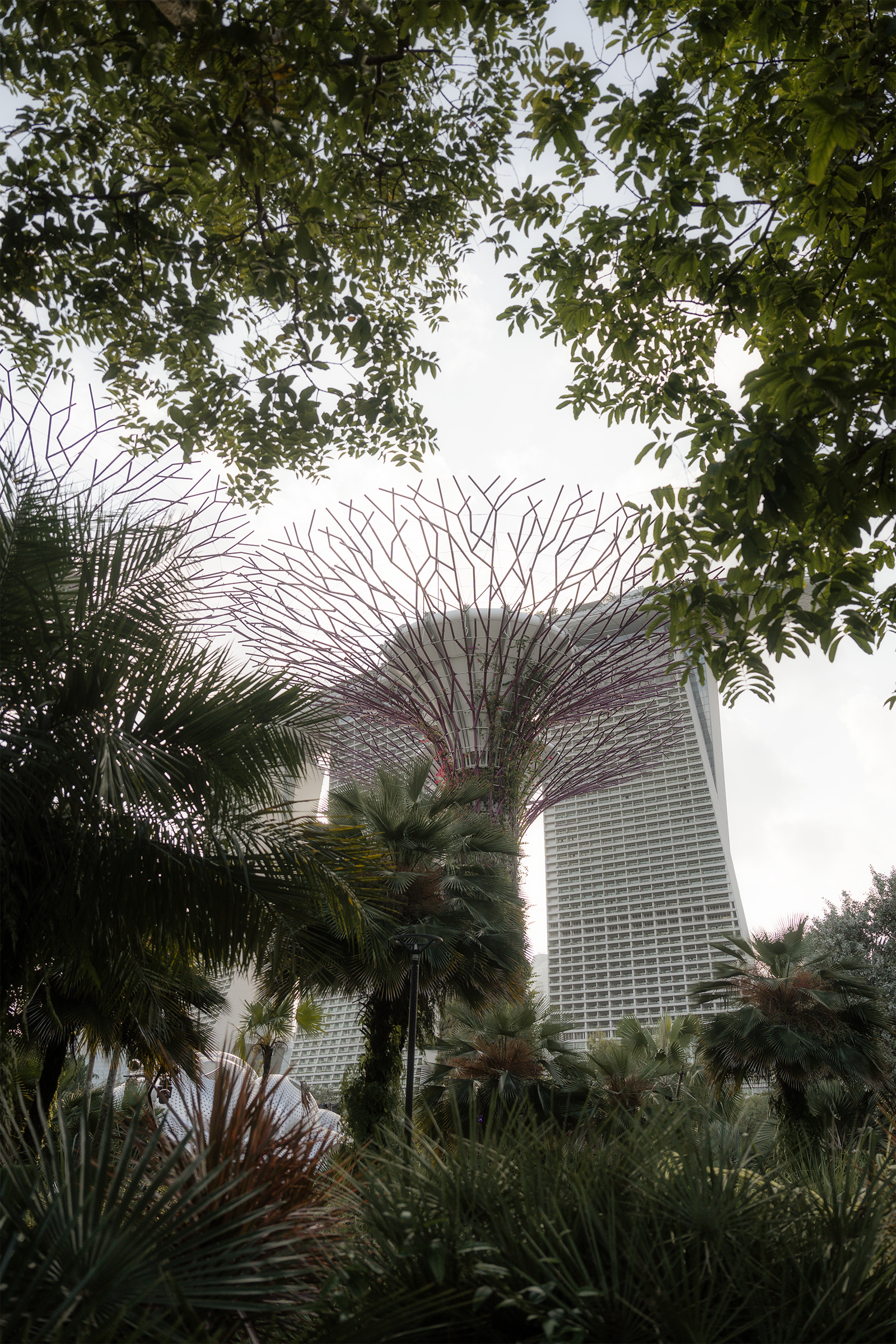 Singapore Supertree Gardens 3- EUR09260-Edit