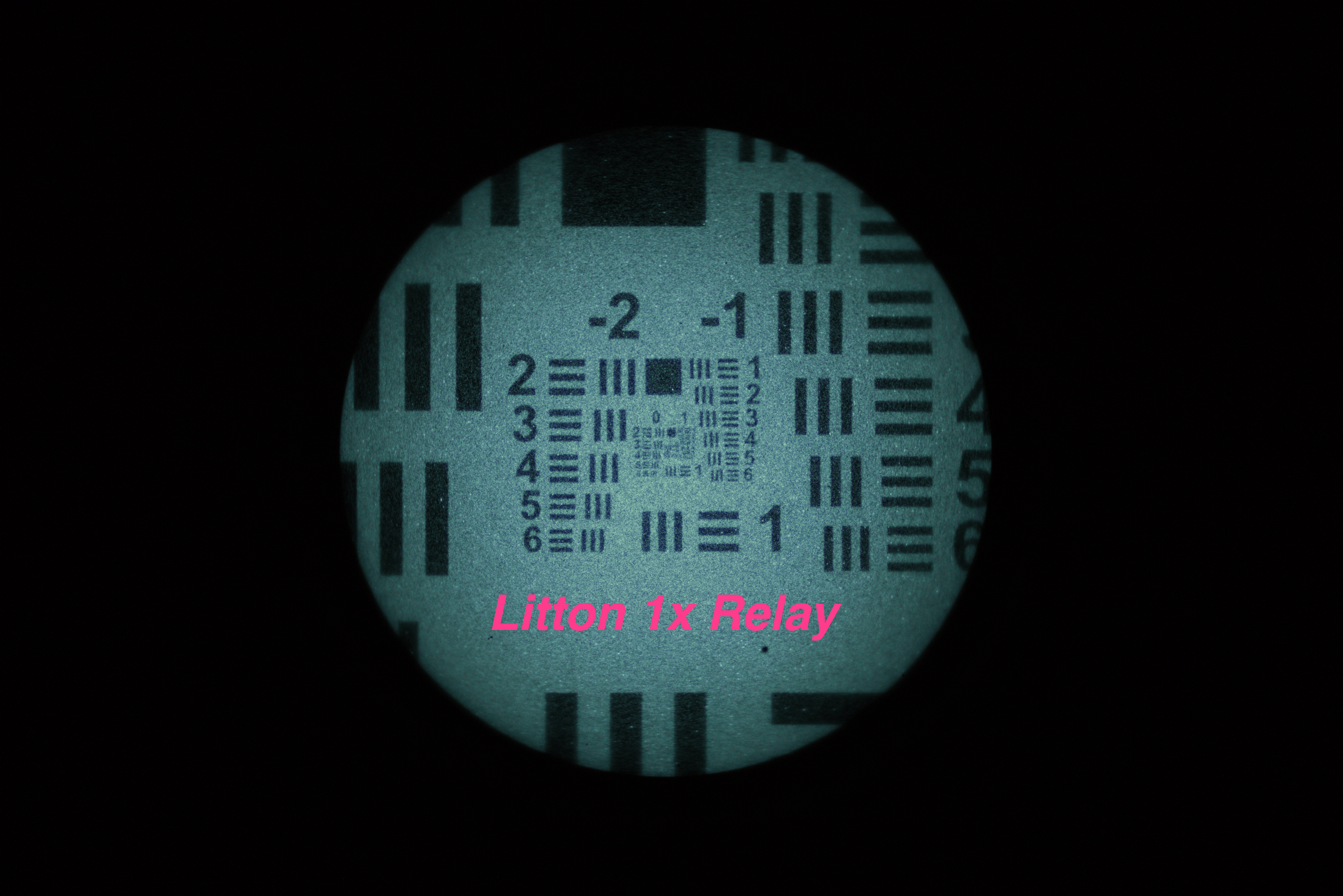 litton_native
