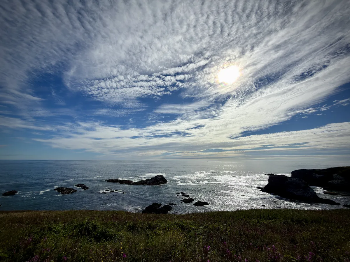 flowered grasses in the foreground give way to an ocean and vast sky.