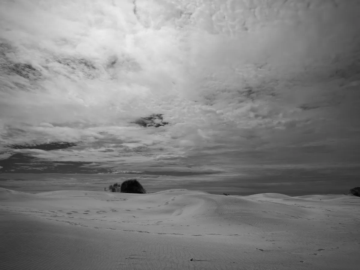 short sand dunes with a cloudy sky and an island of grass bunched to the left. There is a vastness to the horizon.