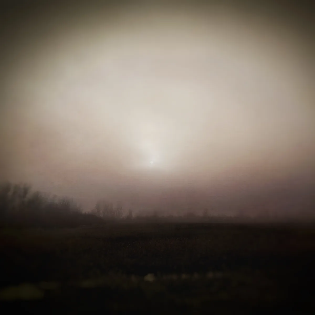 A field in mist with a circle sun poking through. the land is dark, the mist is light. The photo has painterly textures.
