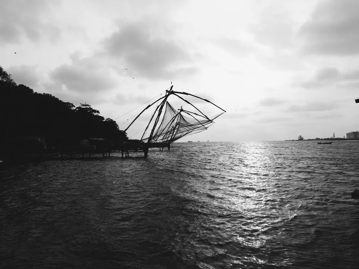 3DA83598-D82D-47C6-A01B-135846DA416A