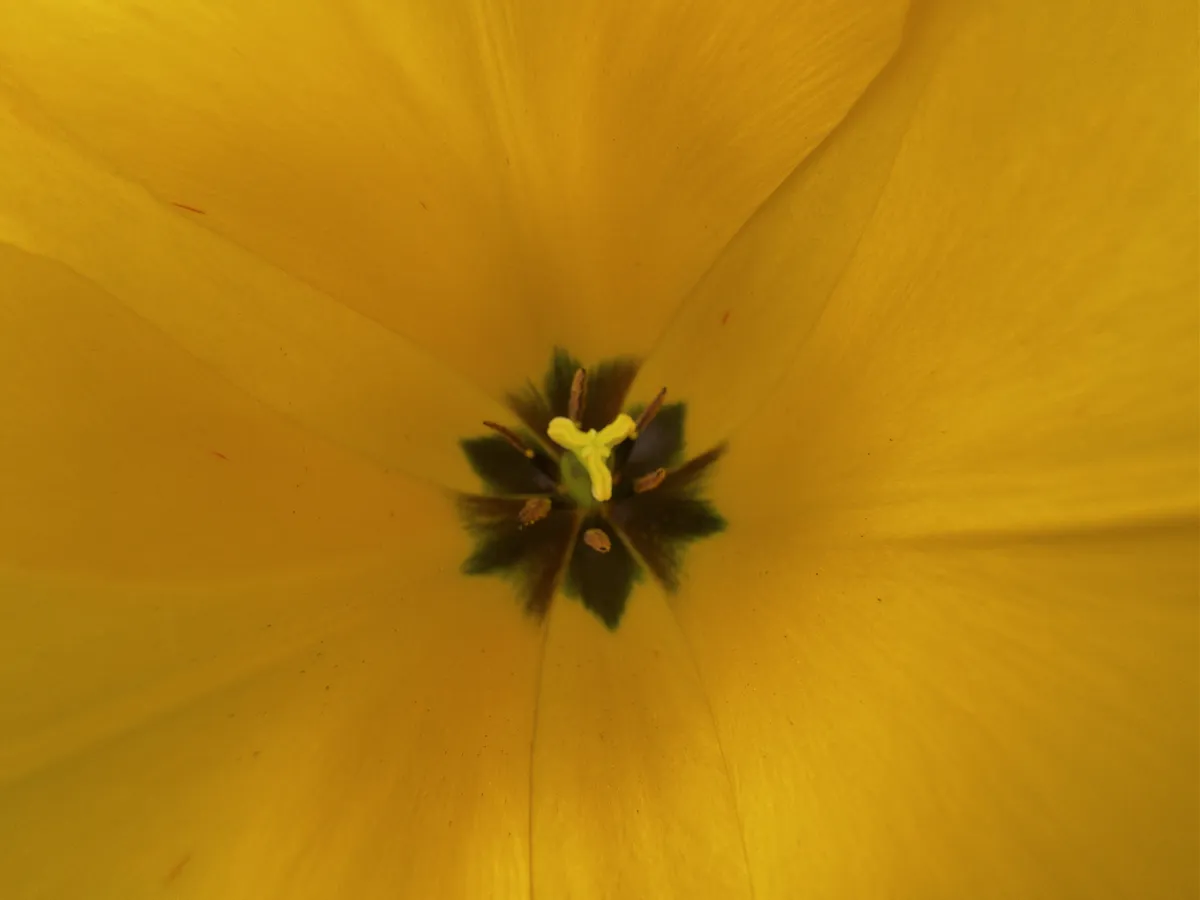 91B83322-82BD-4D3D-BF79-B20C69E359F0