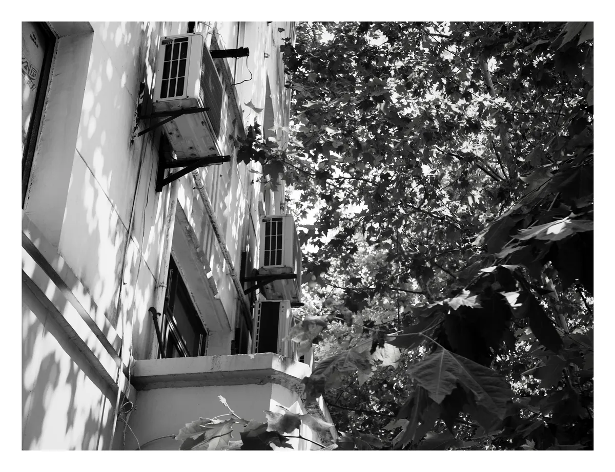 IMG_0538 Edited