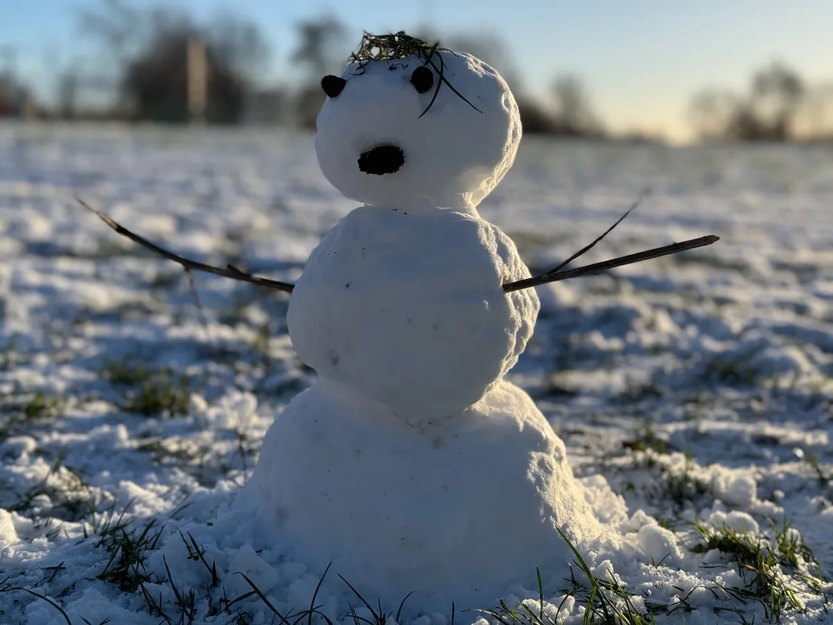 2024A01-46-4 Lonely Snowman