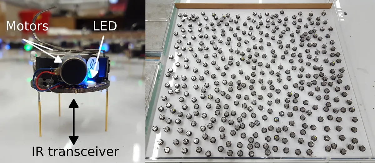 Kilobot robots in an experimental arena
