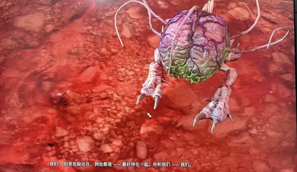 微信图片_20260119120551_40_1