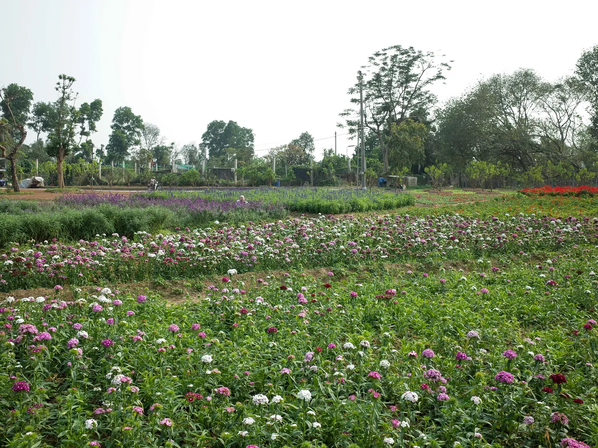 R0008631