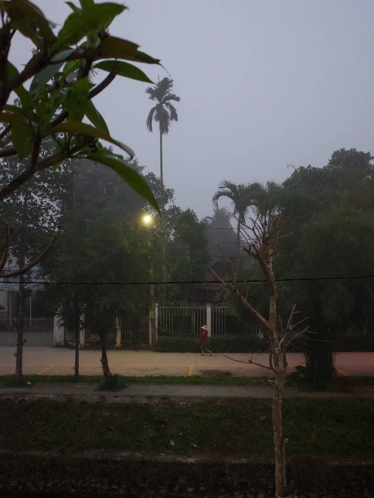 R0008669