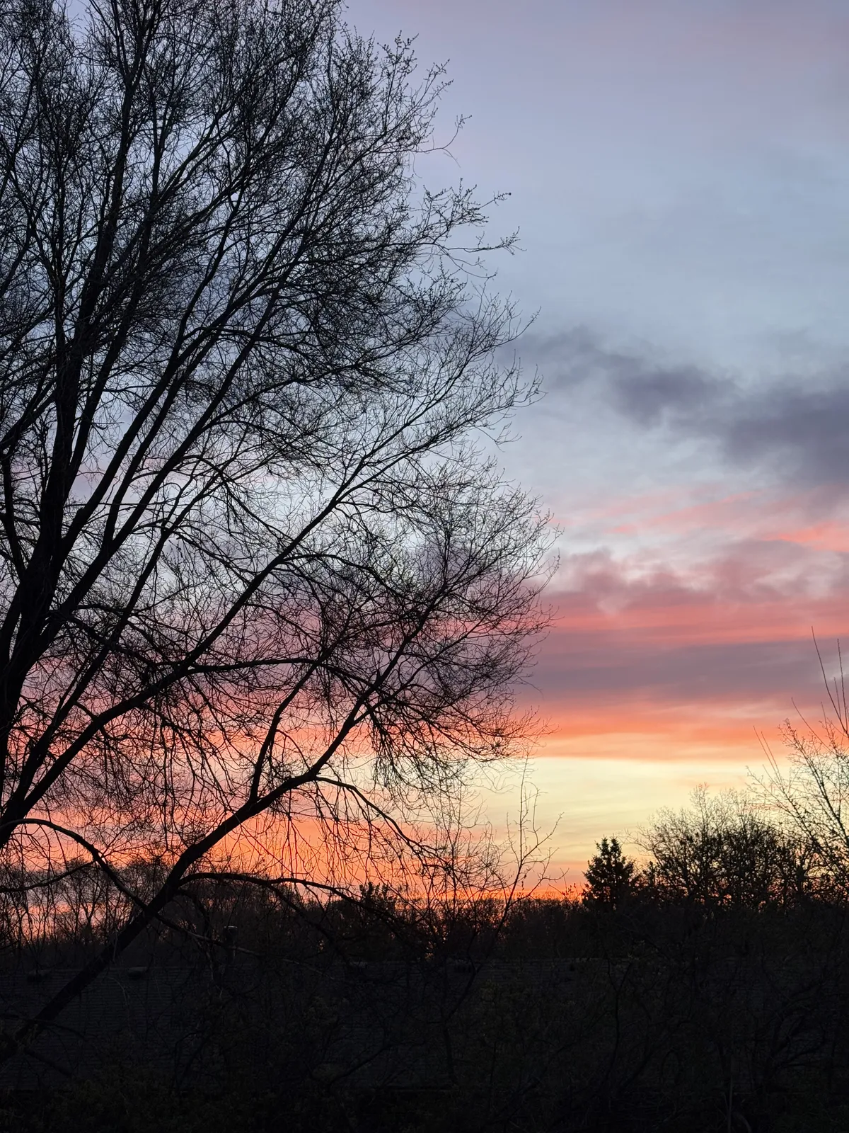 Spring sunrise.