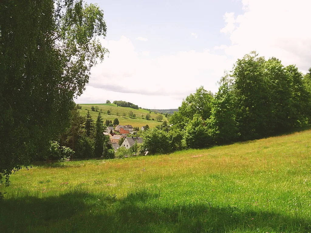 view