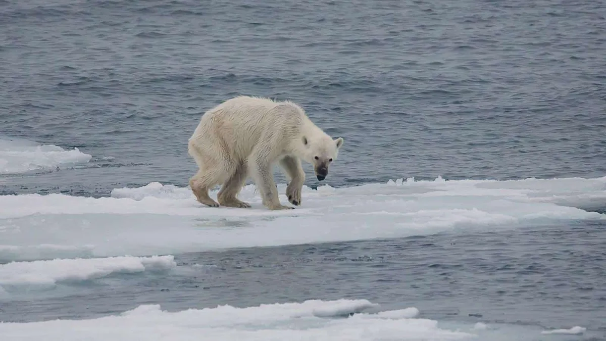 globalwarming