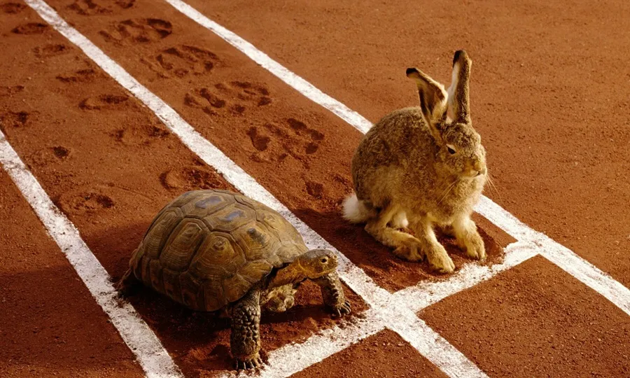 Tortoise-and-hare