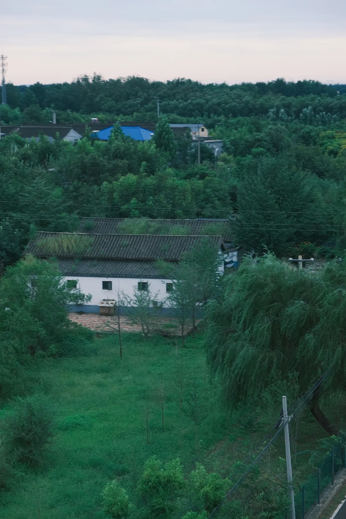 DSCF6122