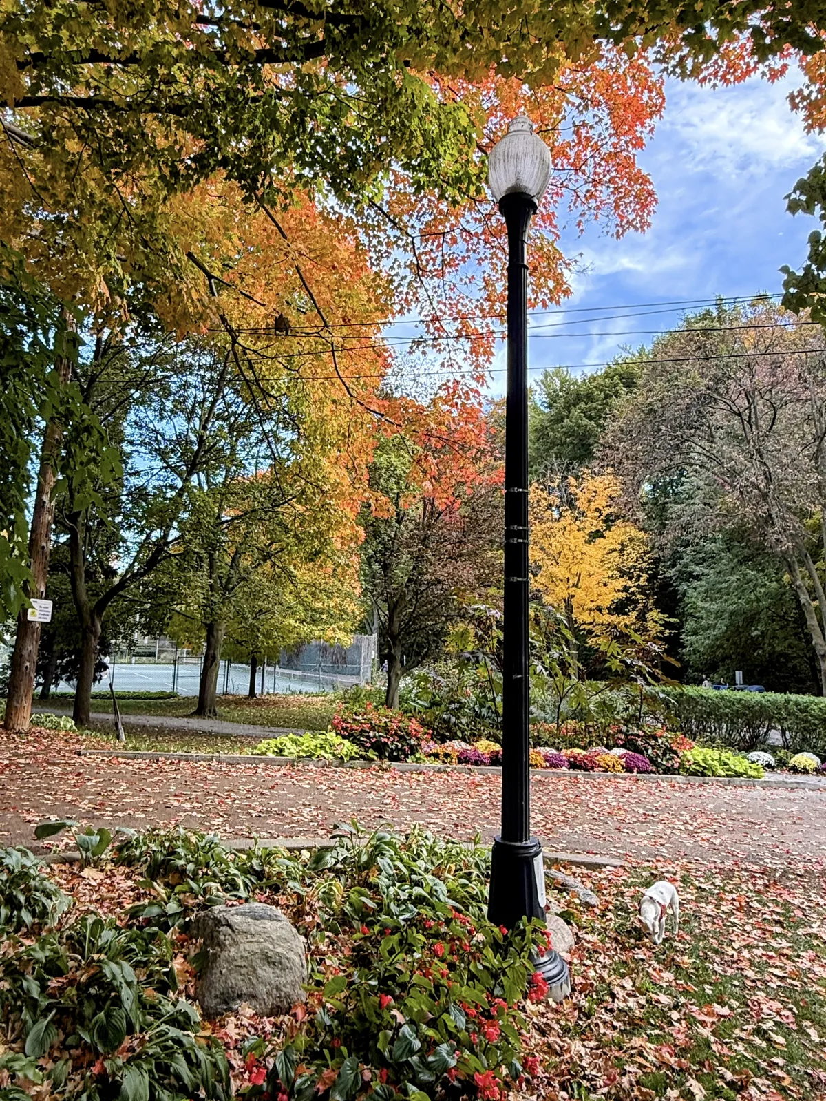 1F21B764-26B9-49FB-9D8E-F49E85C50A1B